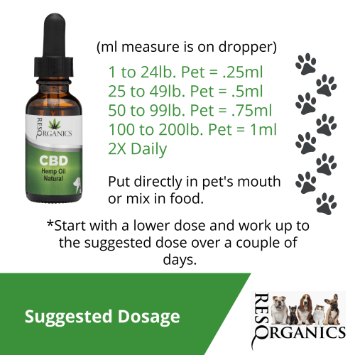 CBD For Dogs, 500 or 1000mg Natural - Image 3