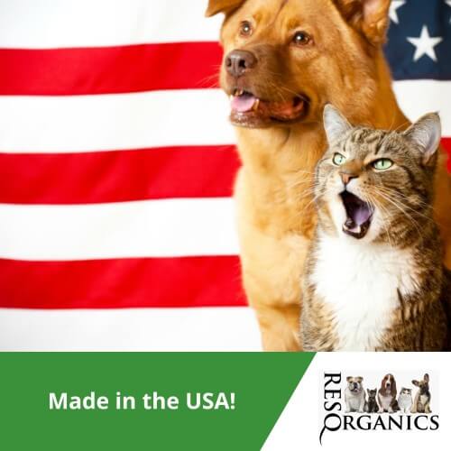 CBD For Dogs, 500 or 1000mg Natural - Image 8
