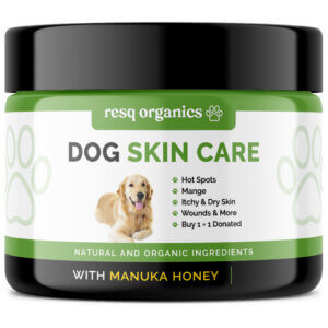 Pet Skin Treatment for Dogs