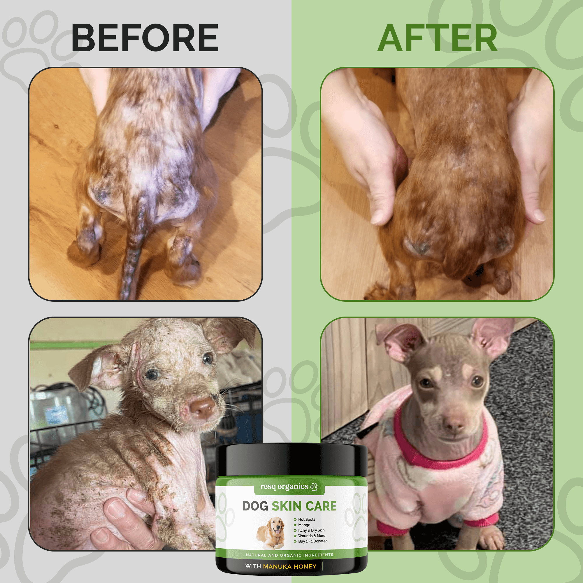 Pet Skin Treatment for Dogs - Image 8
