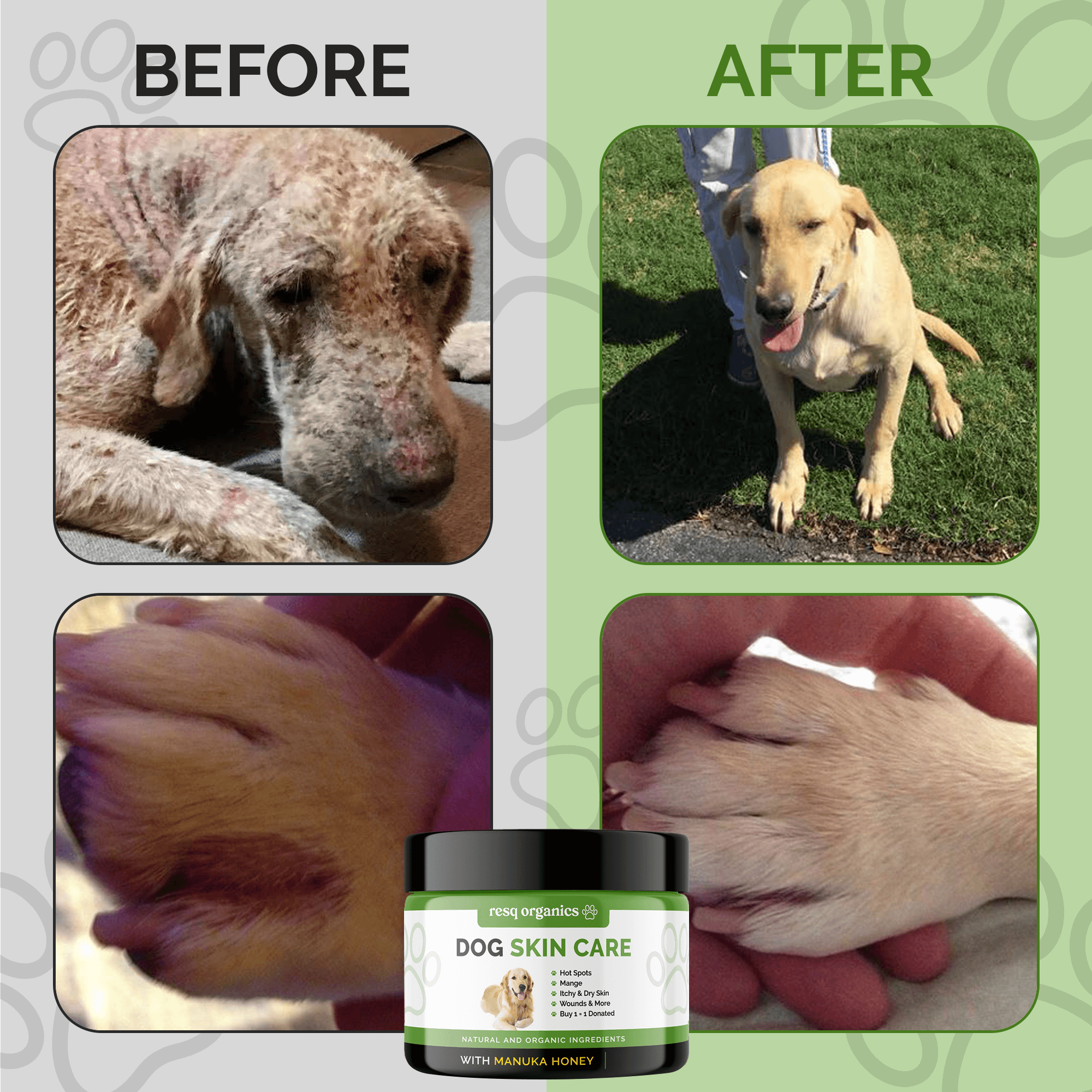 Pet Skin Treatment for Dogs - Image 9
