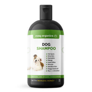 All-Natural Manuka Honey Pet Shampoo for Dogs