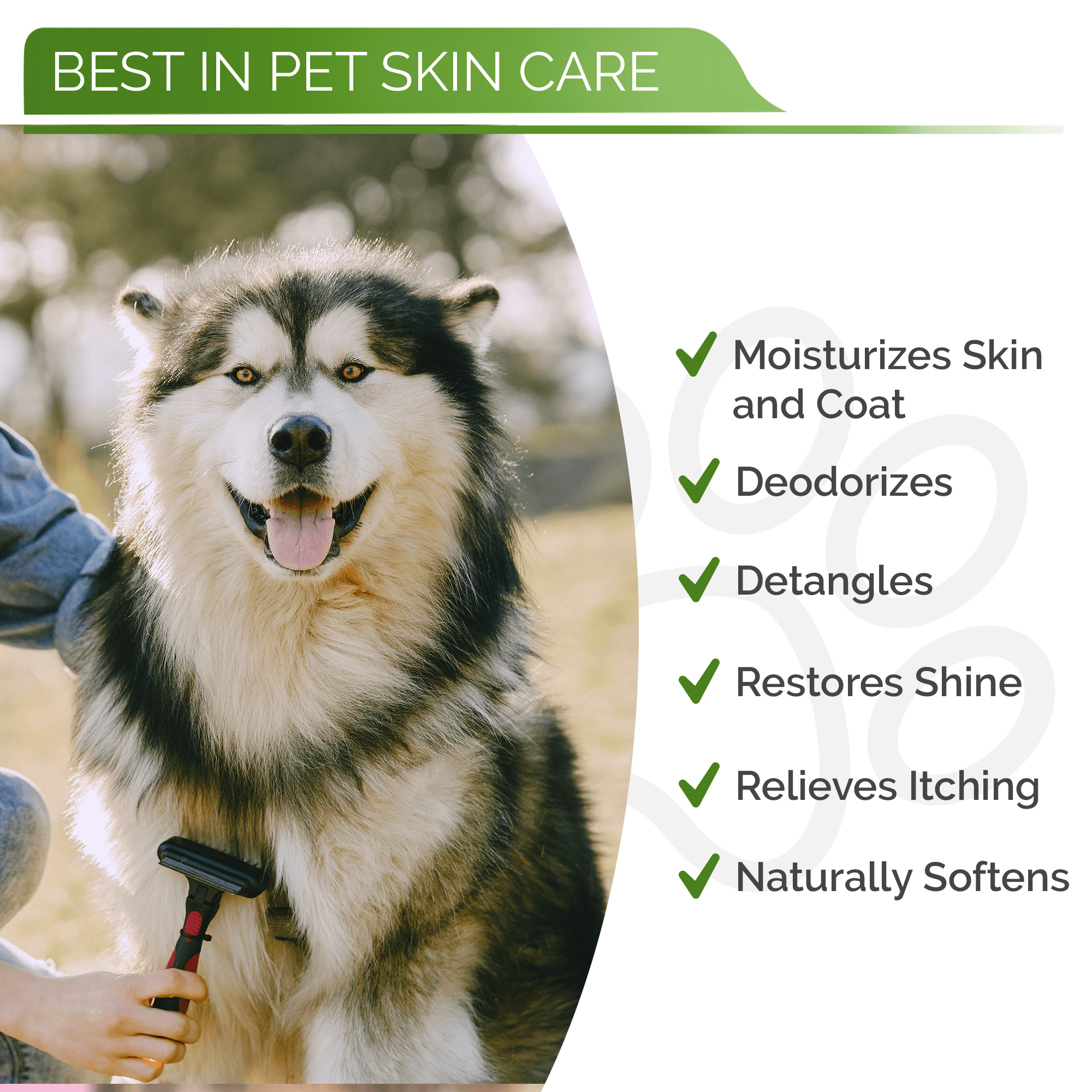 All-Natural Manuka Honey Pet Conditioner for Dogs - Image 4