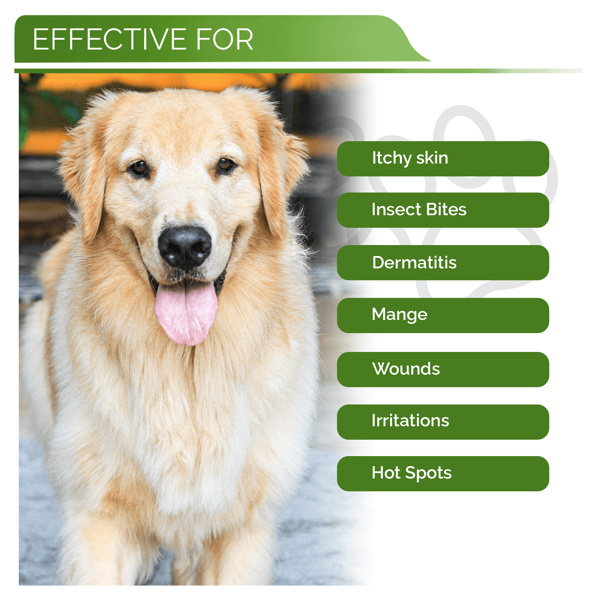 All-Natural Manuka Honey Pet Conditioner for Dogs - Image 5