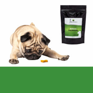 Pet Treats