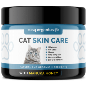 Pet Skin Treatment for Cats