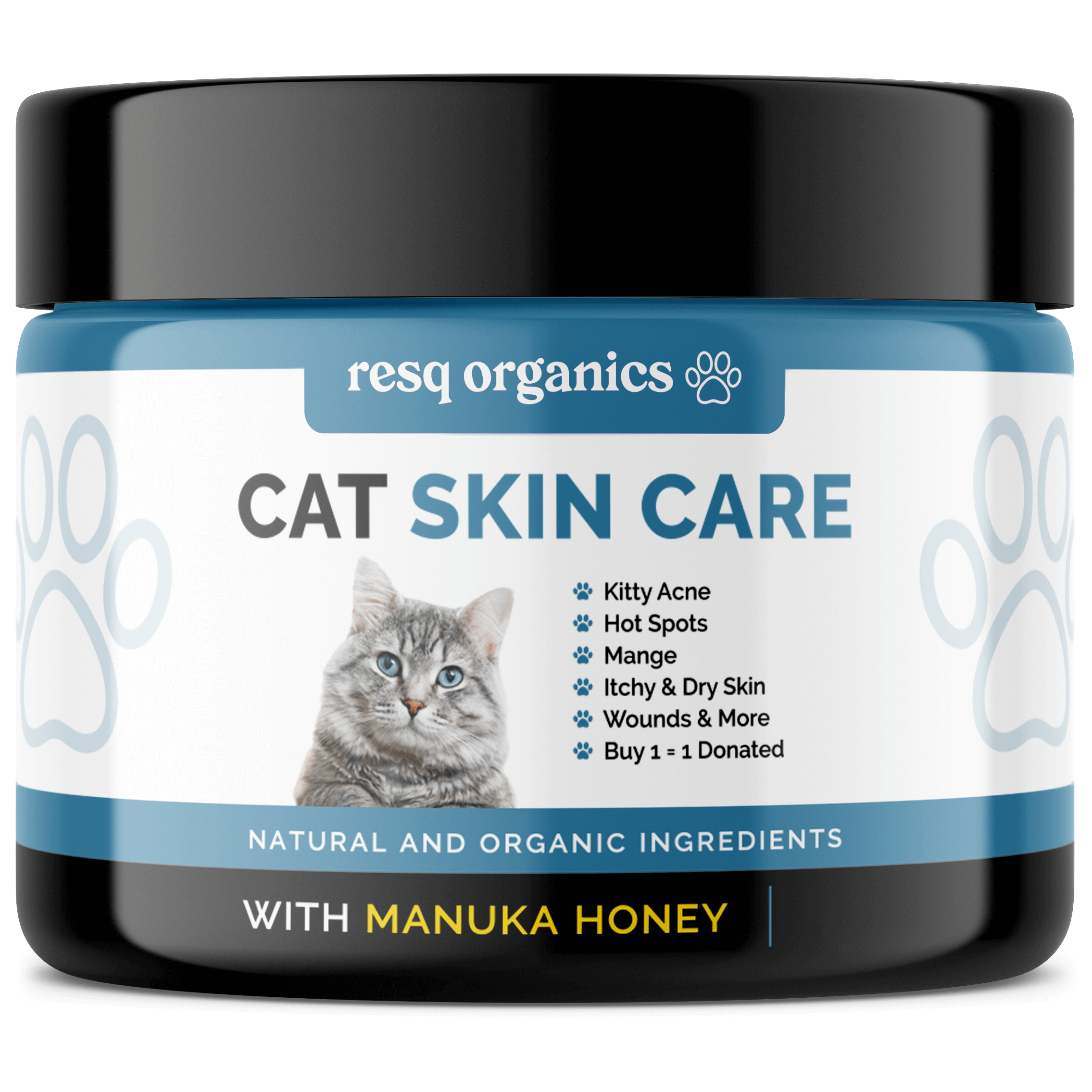 Pet Skin Treatment for Cats