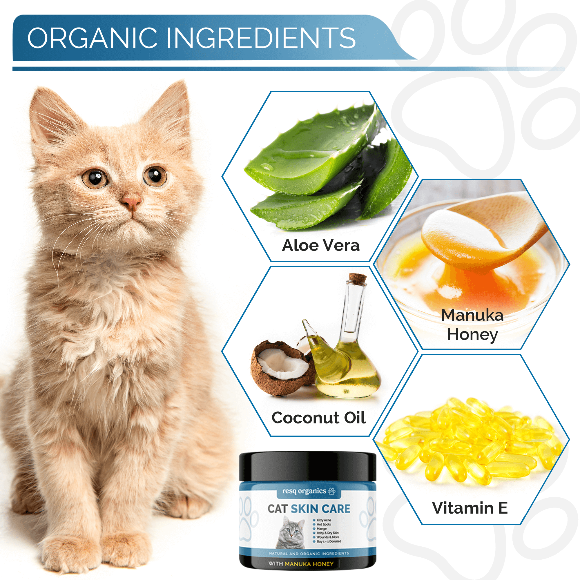 Pet Skin Treatment for Cats - Image 2