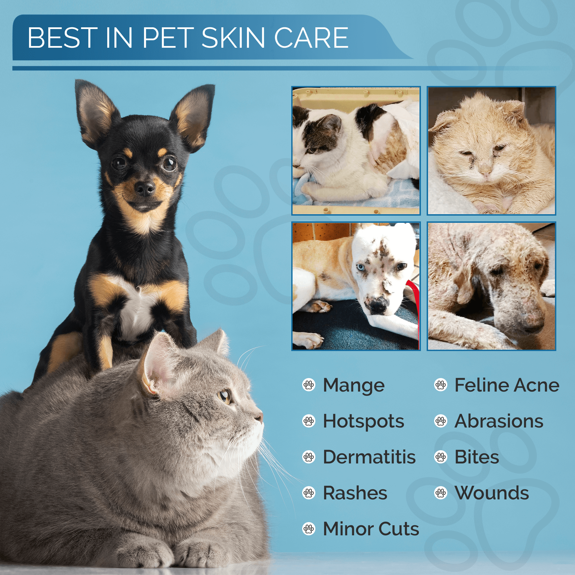 Pet Skin Treatment for Cats - Image 3