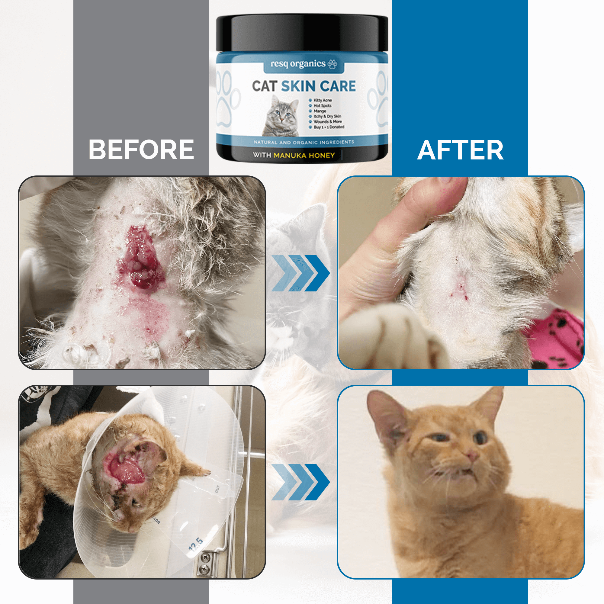 Pet Skin Treatment for Cats - Image 7