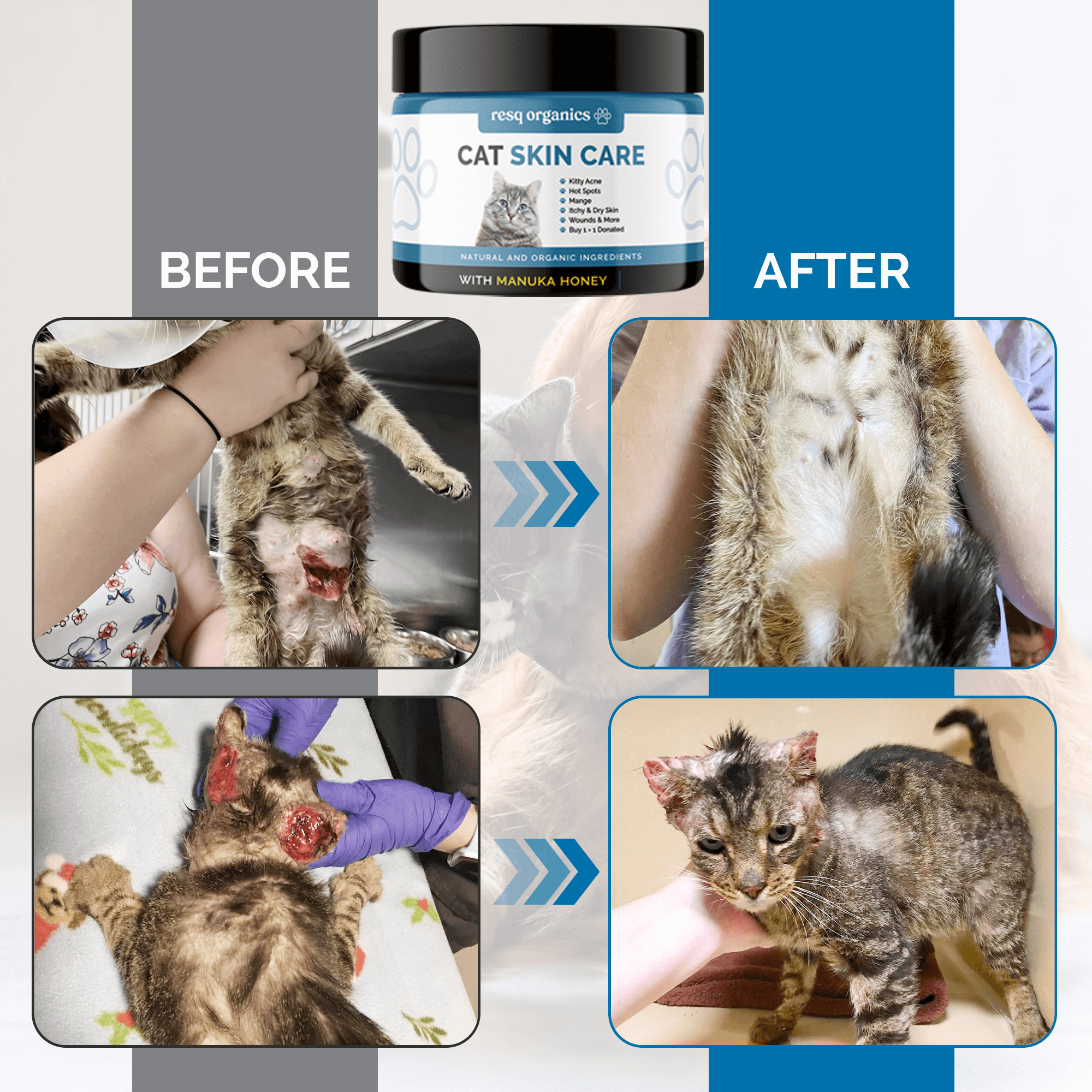 Pet Skin Treatment for Cats - Image 8